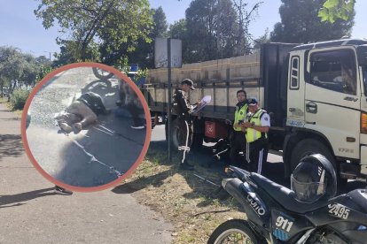 Agentes del Servicio de Investigación de Accidentes de Tránsito (SIAT) tomaron procedimiento con personal de tránsito. La madre murió.