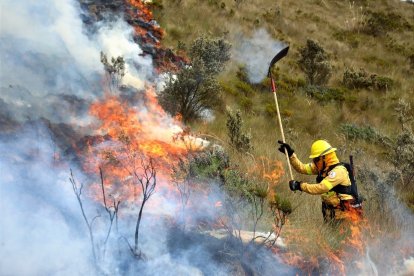 Los bomberos han trabajado de manera extensa en el combate al fuego. Son varios flancos por los que deben atacar.