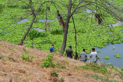 Policías llegaron al lugar para recabar indicios y retirar los cadáveres.