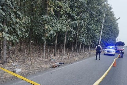 Los cadáveres tenían impactos de bala. Se cree que los mataron durante la noche del domingo.