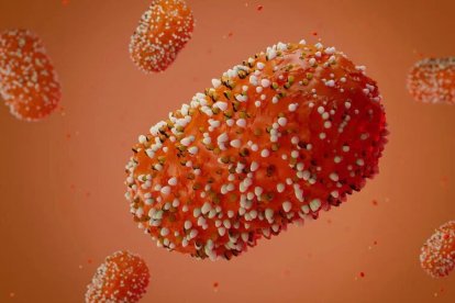 El virus afecta principalmente a roedores y monos, pero también a humanos