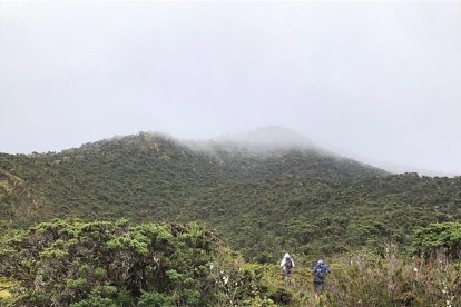 Con ayuda de perros han rastreado extensas zonas para tratar de encontrar a la joven.
