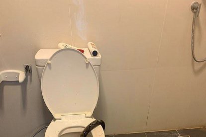 Así quedó la serpiente asesinada tras morder al hombre tailandés.