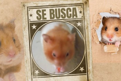 El pequeño Junior movilizó a toda una ciudad en redes sociales para encontrarlo.