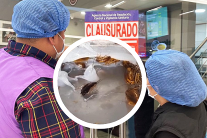 Las cucarachas se paseaban por los ingredientes de la pizza.