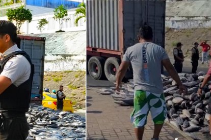 Los dueños de los pescados en agradecimiento de la ayuda recibida premiaron a los ayudantes donando unos 100 pescados.