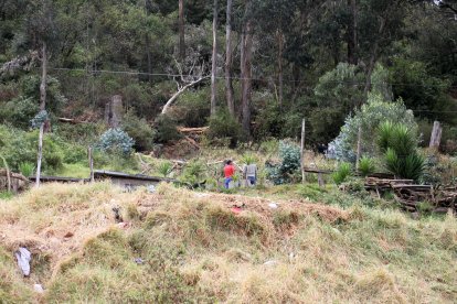 Algunos árboles fueron cortados con permiso municipal para precautelar la seguridad de un vecino, pero al parecer hay quienes talan para llevarse madera del cerro.
