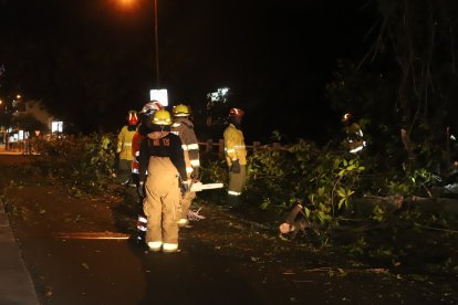 Miembros del Cuerpo de Bomberos llegaron a socorrer la emergencia.