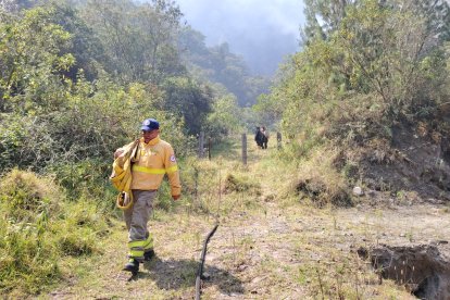 Bomberos de la zona centro del país trabajan en combatir el incendio forestal.