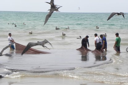 De acuerdo con los datos del reporte, los casos se registran, principalmente, en perfiles costeros.