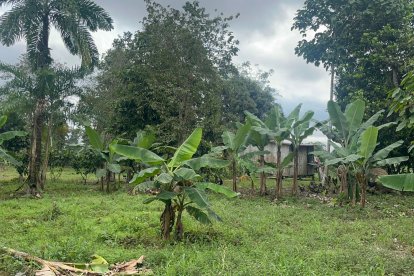 En esta finca hallaron otro cuerpo y sería el sitio donde cometieron los crímenes.