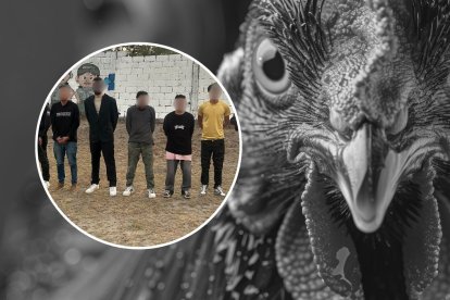 Los sospechosos intentaron secuestrar a un señor y a su hijo.