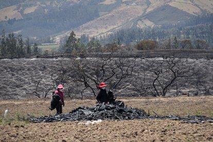 Dos mujeres agricultoras y en situación vulnerable recogen lo que quedó de la plantación de frutillas.