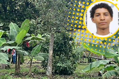 Identificaron a uno de los asesinados en el Guabo, El Oro.