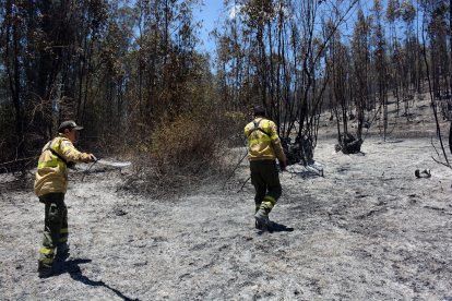 Decenas de incendios se registraron en Quito desde la semana pasada.