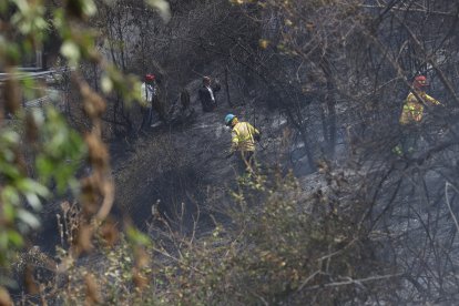 El caso más reciente se registró ayer en El Panecillo, en el centro de la ciudad.