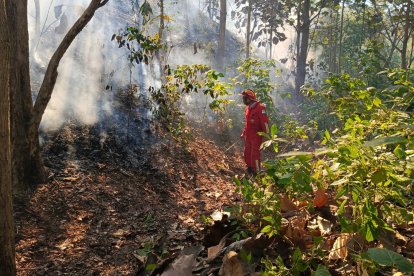 El incendio fue controlado luego de 12 horas.