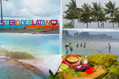 En cada rincón del Estero de Plátano se siente la vida fluyendo al ritmo del mar.