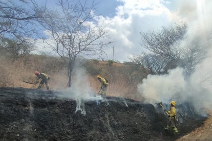 Bomberos tratan de apagar las llamas en Vilcabamba.