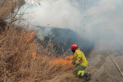 Más de 1.000 hectáreas se han consumido a causa del incendio.