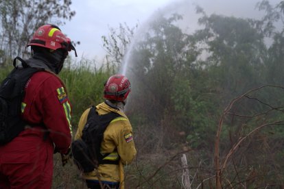 Los incendios forestales en Esmeraldas representan un desafío continuo.