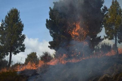 Incendio en sector Pansache