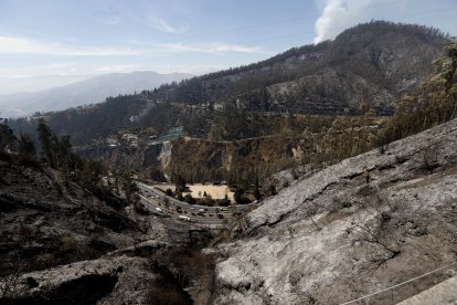 Estas son las secuelas que se observan en el barrio Bolaños, por los incendios en la capital.