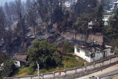 En el último incendio fueron devastadas 193 hectáreas de bosque.