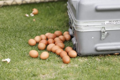 Se encontró varios huevos en el terreno de juego.
