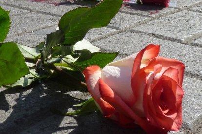 Con rosas han hecho varios plantones por la violencia contra la mujer.
