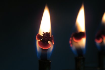 CNEL EP publicó el cronograma en su cuenta de X.