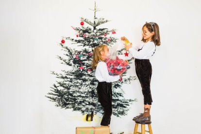 Al finalizar, enciendan las luces del árbol juntos y disfruten del resultado.