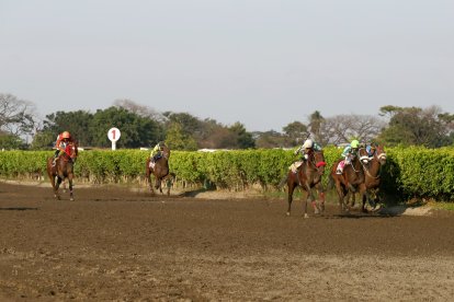 El clásico EXTRA, de la hípica, se disputó en Samborondón.