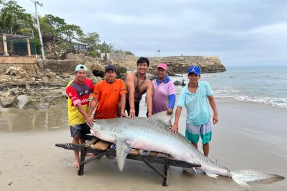 Los pescadores lo encontraron enredado en Punta Blanca.
