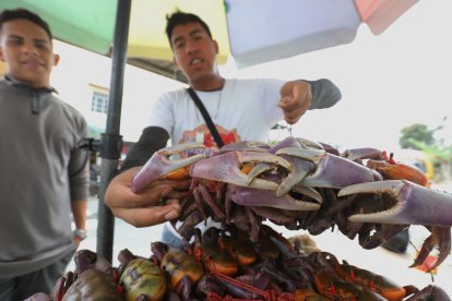 Jefferson hasta da consejos de en qué meses están más ‘gordos’ los cangrejos.