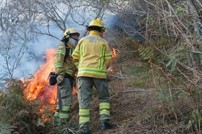 Incendio forestal en Zamora Huaico.