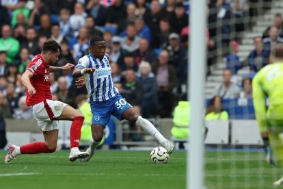 Pervis Estupiñán es titular fijo en Brighton.