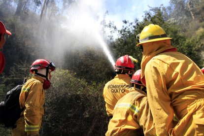 Un joven fue sentenciado por el incendio ocurrido en Guápulo y que se propagó hacia otros sectores capitalinos.