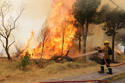 Existen cuatro personas con prisión preventiva y una con grillete electrónico por esta causa.