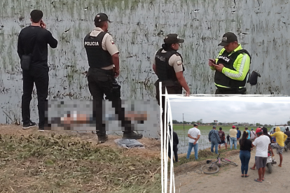 Hombre asesinado y arrojado a una poza para cultivo de arroz.