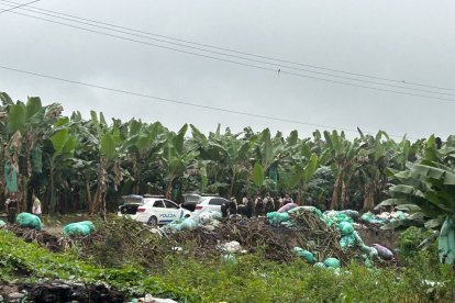 Una mujer tenía dos tiros en su cabeza. Cerca de ella había dos carros quemados.
