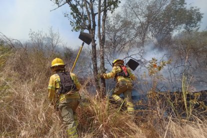 Se desconoce el total de hectáreas afectadas por el intenso fuego.