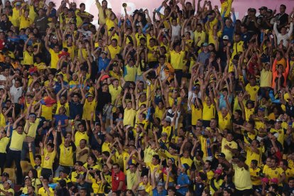 Hinchas celebran los goles de Ecuador.