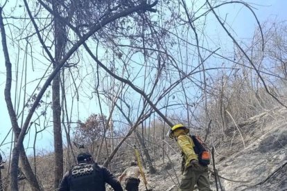 Brigadas recorren las zonas afectadas para evaluar los daños que deja el fuego.