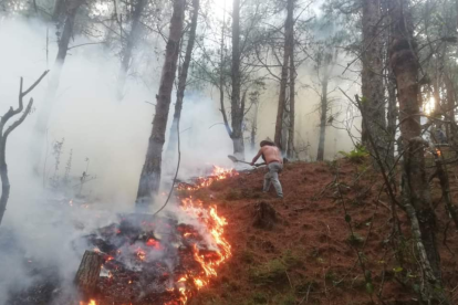 Voluntarios ayudan a combatir los incendios forestales en Loja.