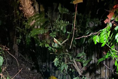 Doble crimen en Valencia.