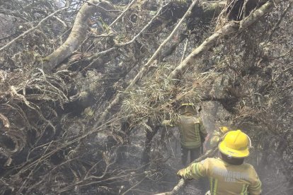 Los incendios forestales siguen descontrolados en Loja.
