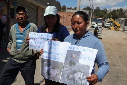 El dolor de Tatiana por perder a su perrito es evidente. Ella no se cansará hasta encontrar a los responsables.