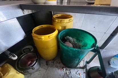 Así estaban los depósitos del lugar clausurado en Cuenca.