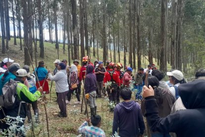 La última búsqueda dio como resultado el hallazgo de osamentas en Cayambe.
